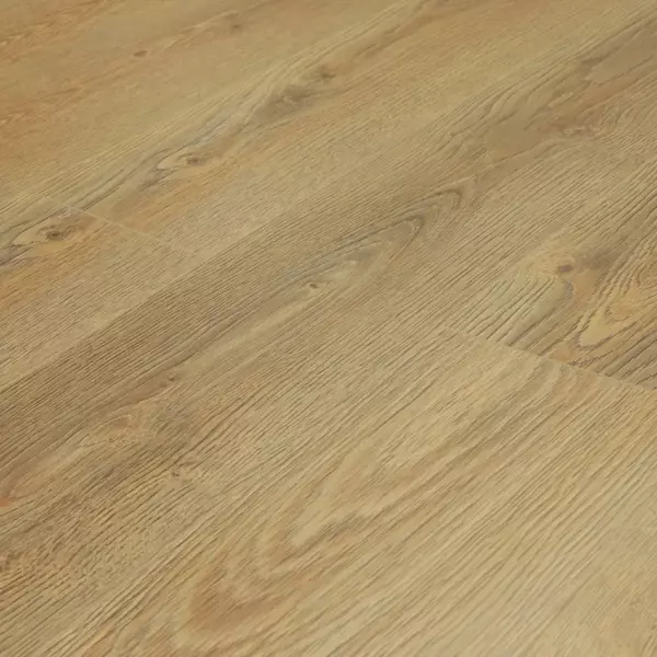 Вяз Альбрехт